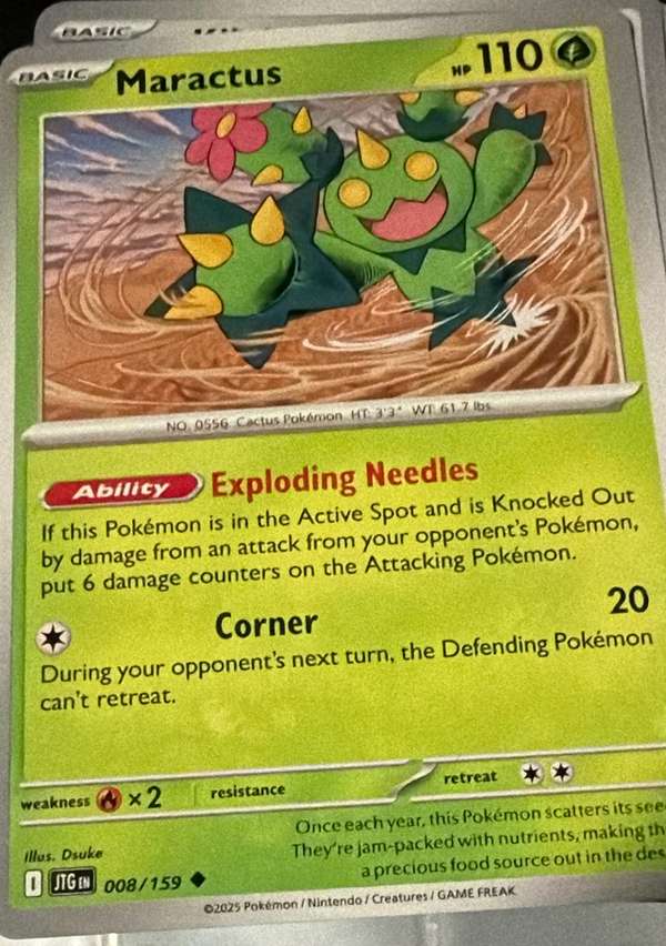 Maractus