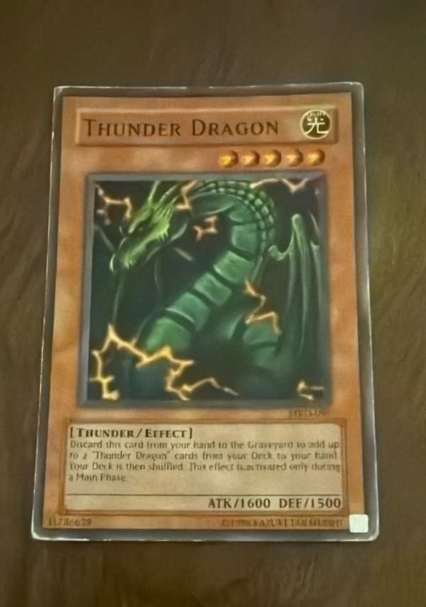Thunder Dragon