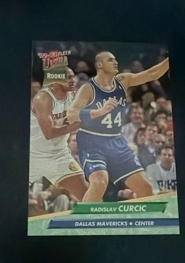 Radisav Curcic