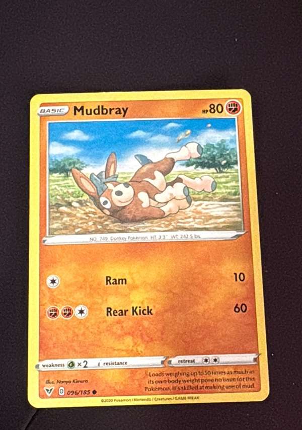 Mudbray