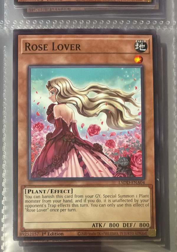 Rose Lover