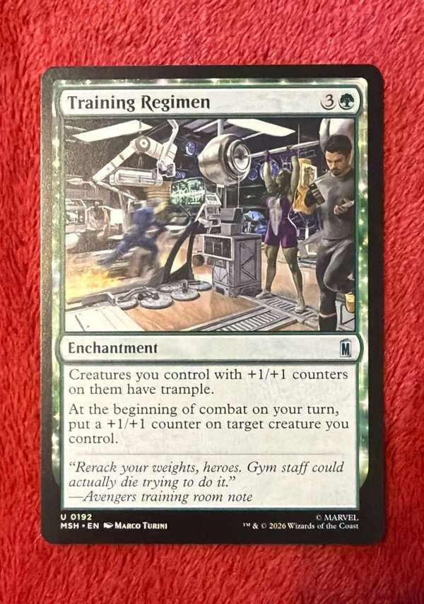 Training Regimen