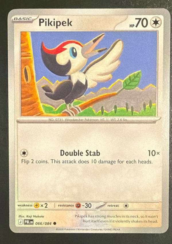 Pikipek