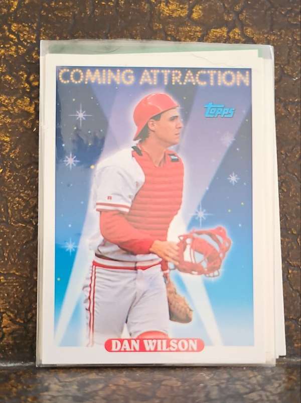 Dan Wilson