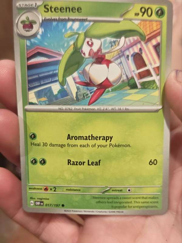 Steenee