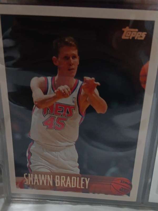 Shawn Bradley