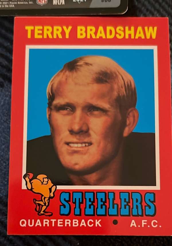 Terry Bradshaw