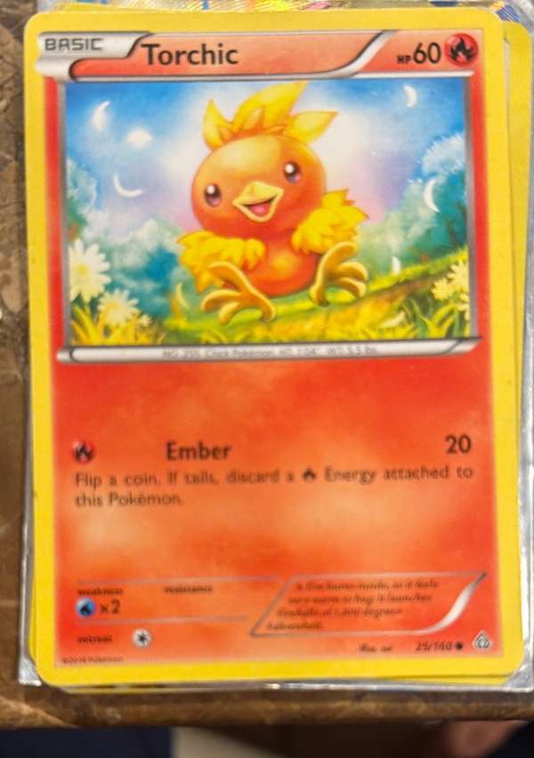Torchic