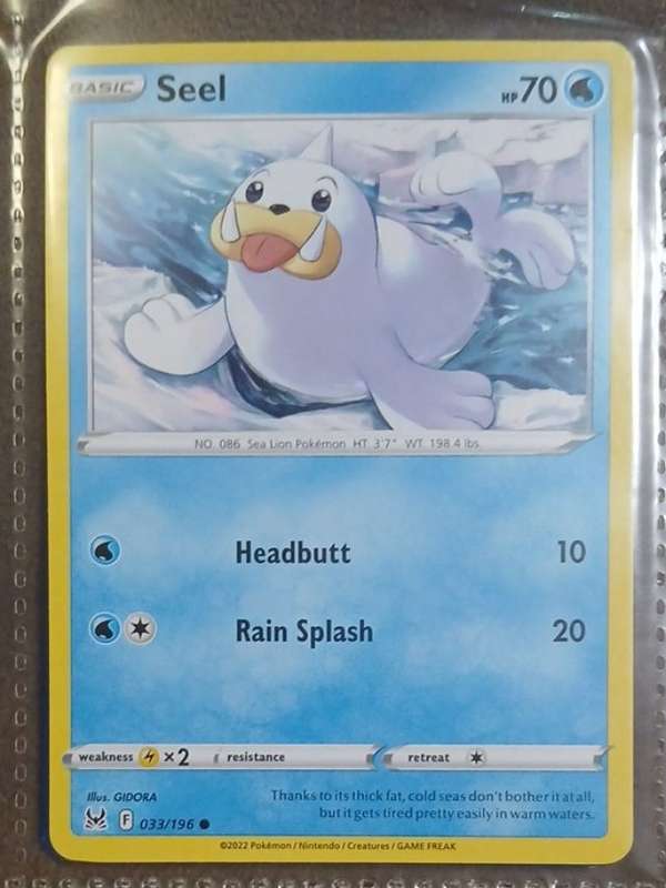 Seel