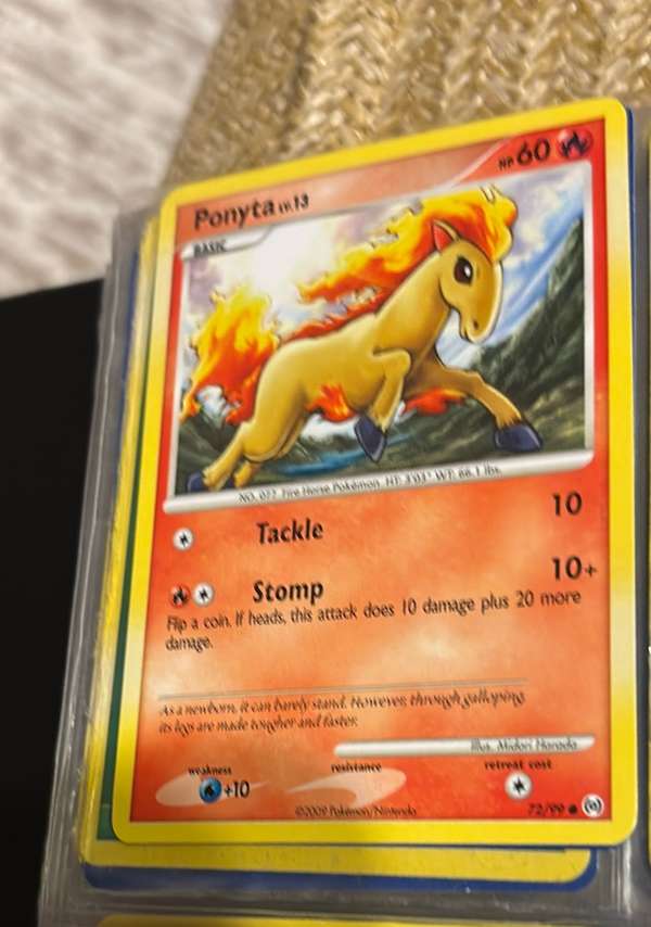 Ponyta (72)