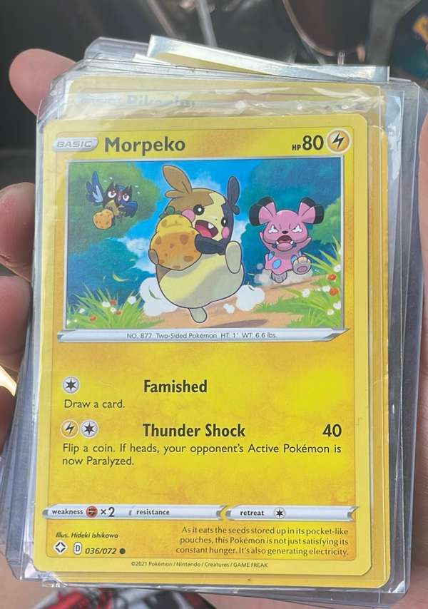 Morpeko (036)