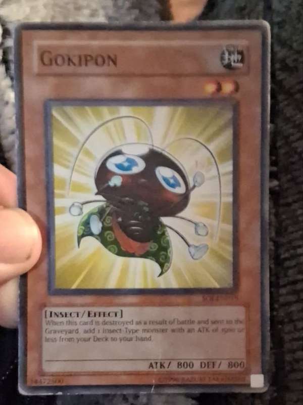 Gokipon