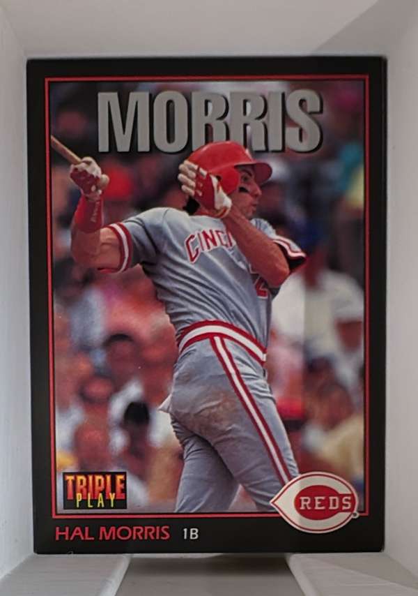 Hal Morris