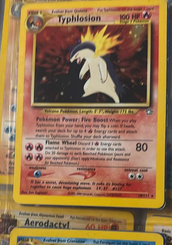 Typhlosion (18)