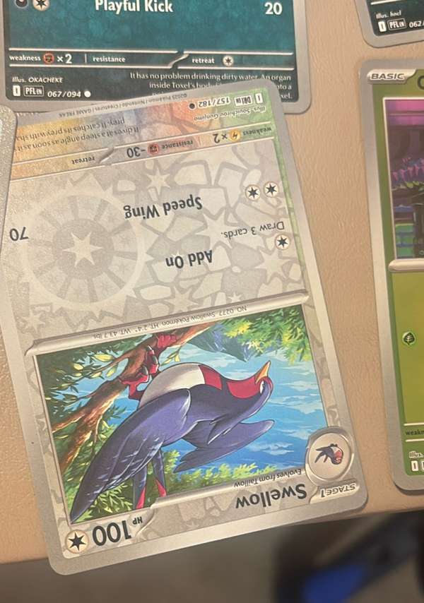 Swellow