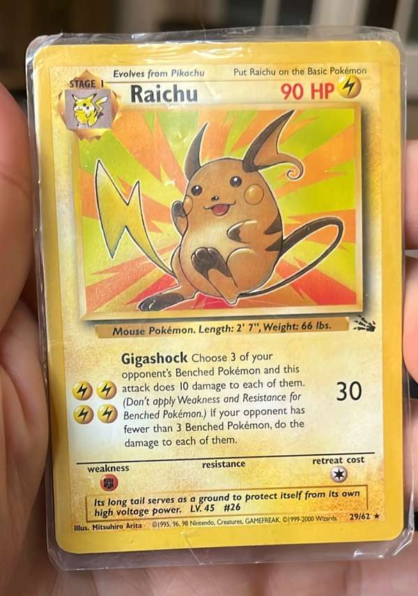 Raichu (29)