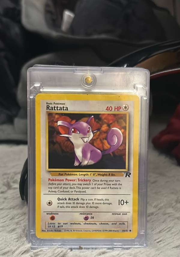 Rattata