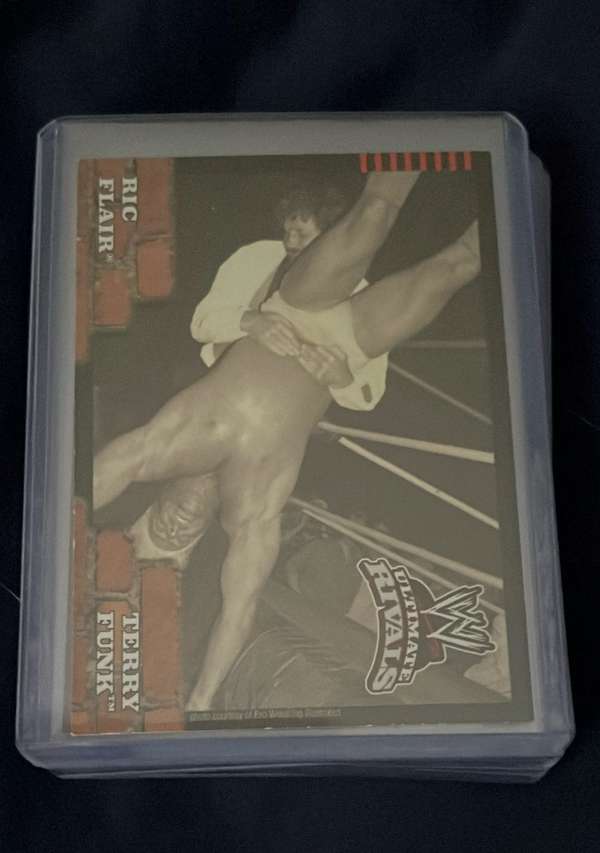 Ric Flair vs. Terry Funk