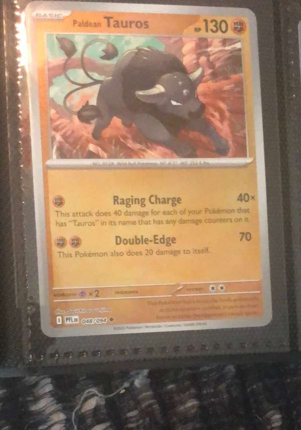 Paldean Tauros
