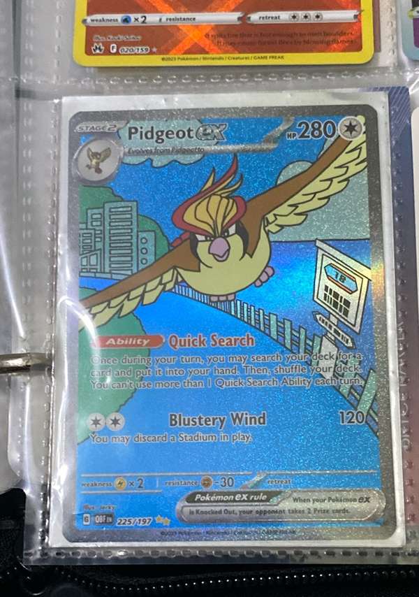 Pidgeot ex