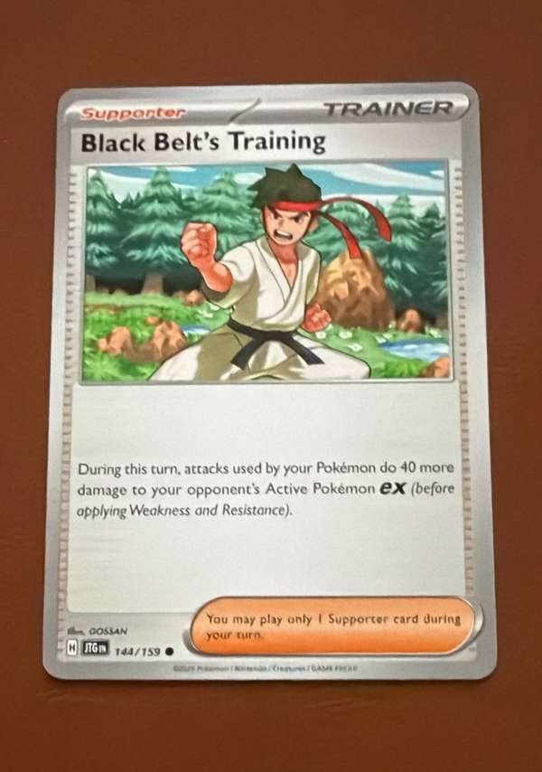 Black Belt's Training