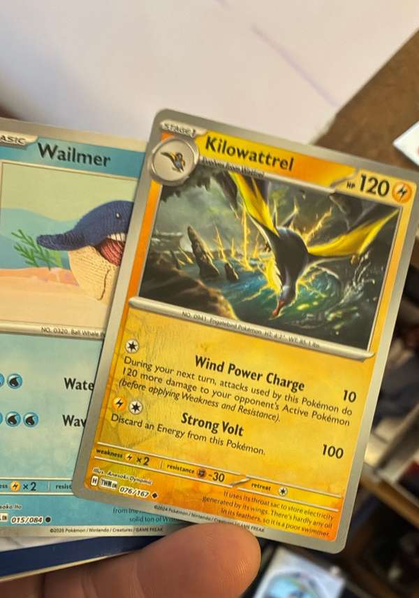 Kilowattrel