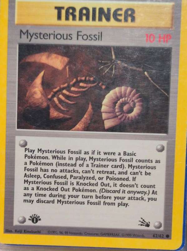 Mysterious Fossil
