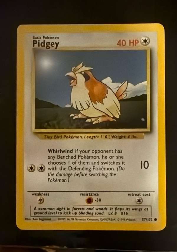 Pidgey