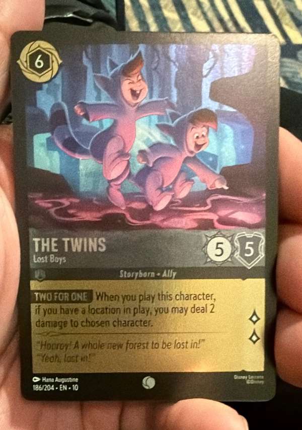 The Twins