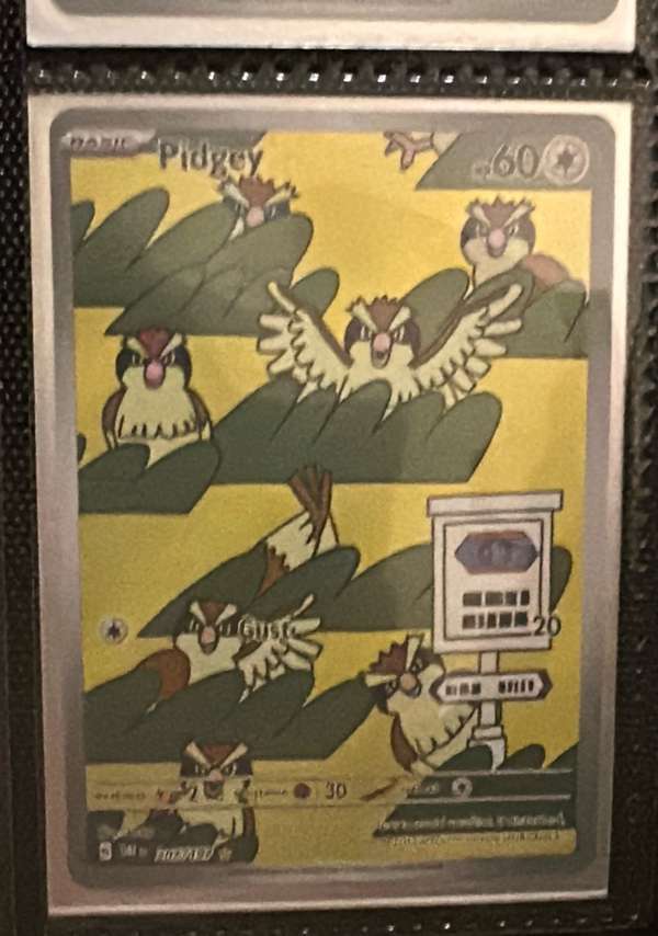 Pidgey