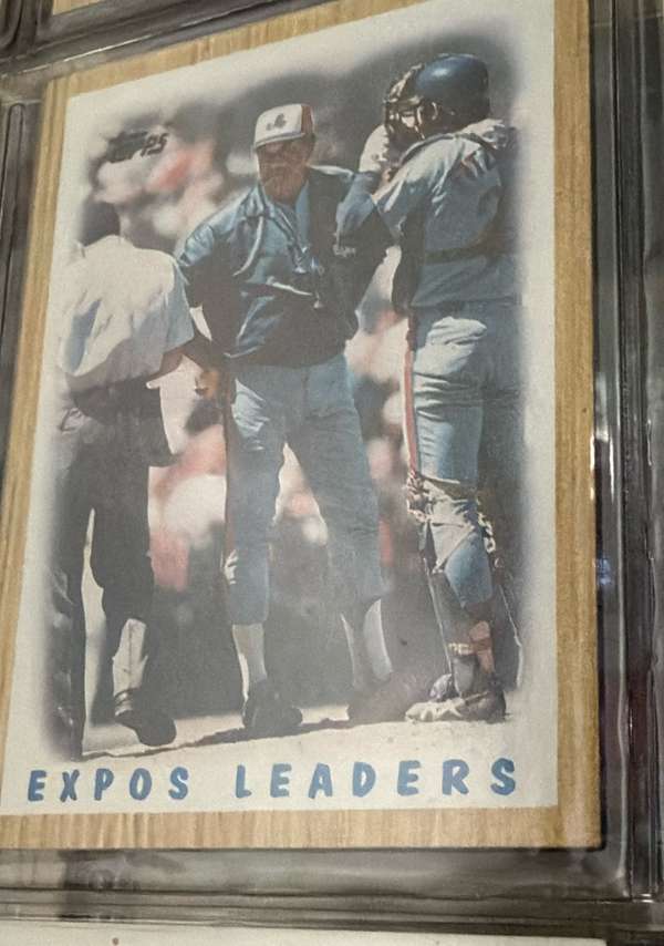 Expos Leaders