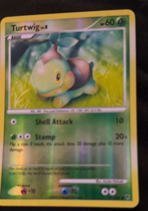Turtwig