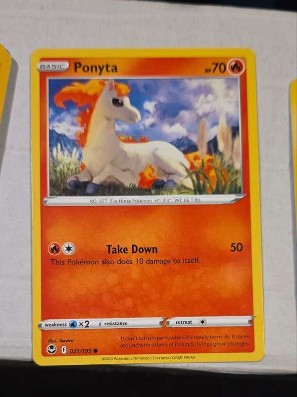 Ponyta