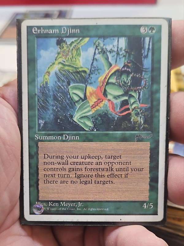Erhnam Djinn
