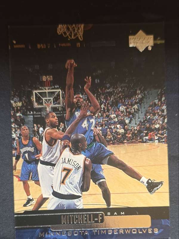 Sam Mitchell