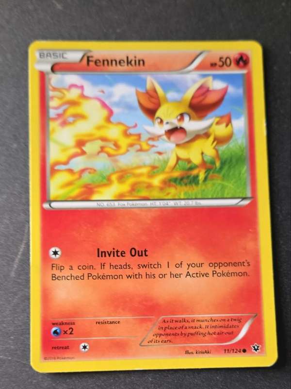 Fennekin (11)