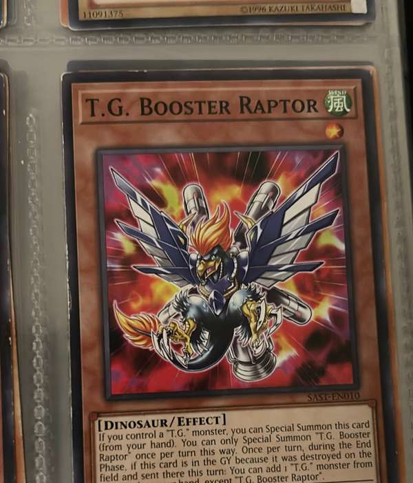 T.G. Booster Raptor