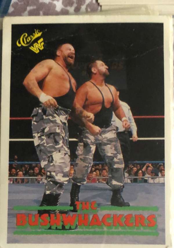 The Bushwhackers (Butch & Luke)