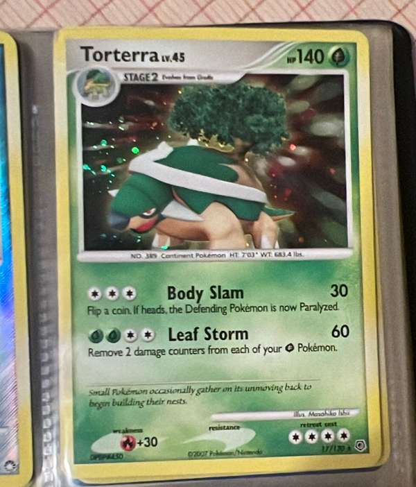 Torterra