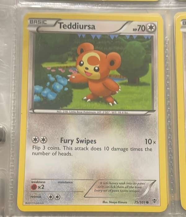 Teddiursa