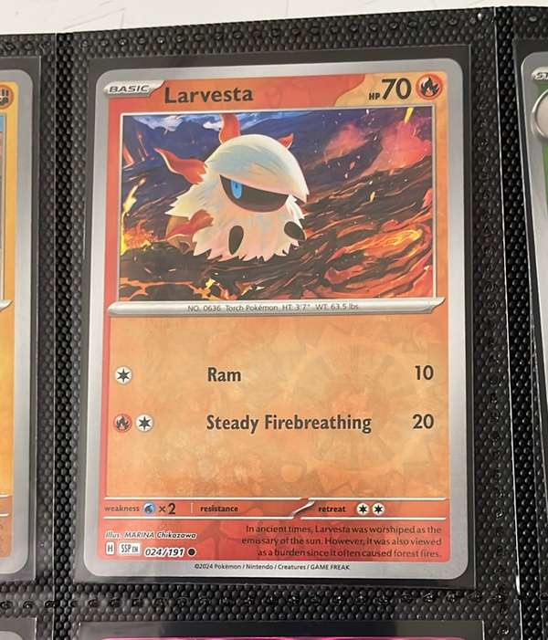 Larvesta