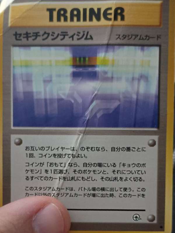 Fuchsia City Gym