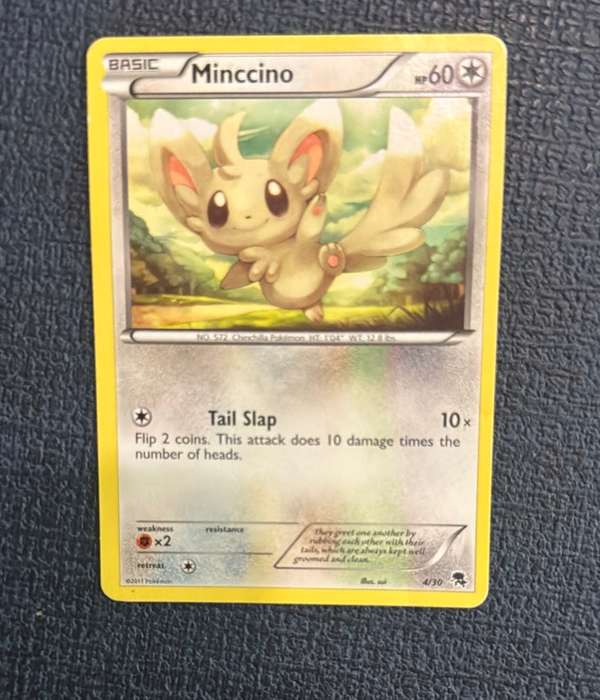 Minccino (#4)