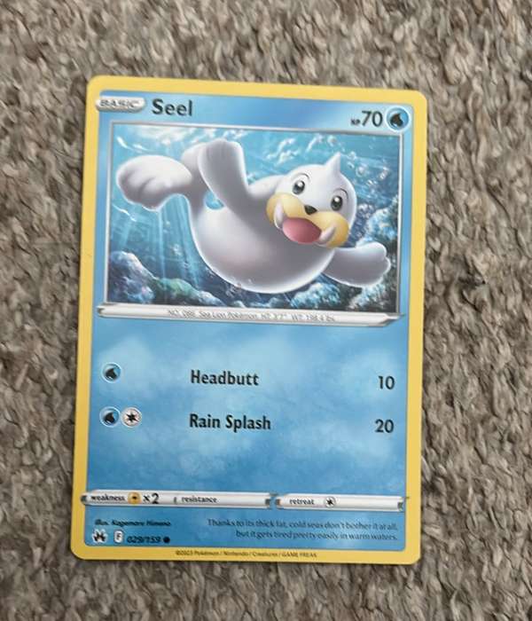 Seel