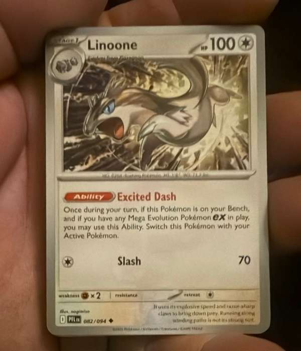 Linoone