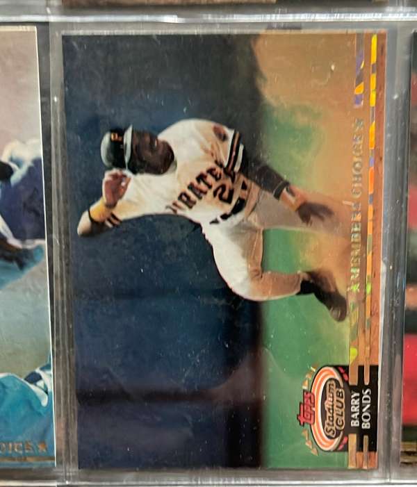 Barry Bonds