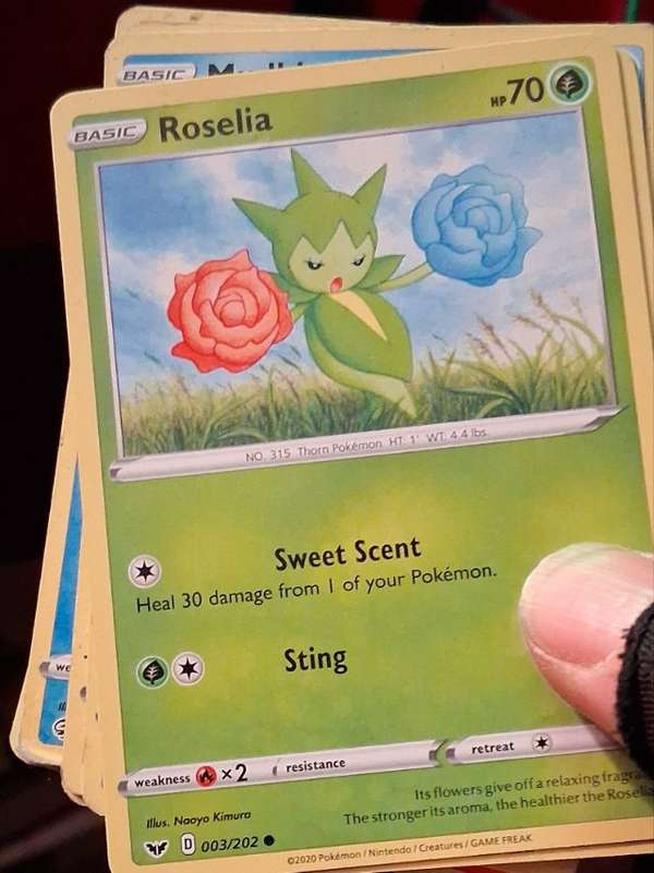 Roselia (003)