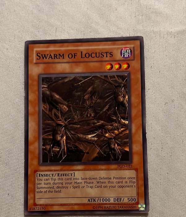 Swarm of Locusts