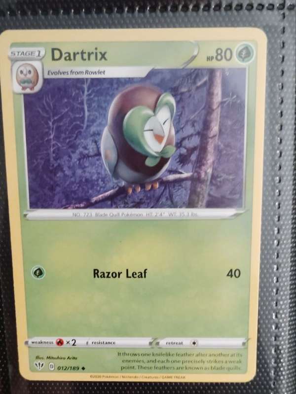 Dartrix
