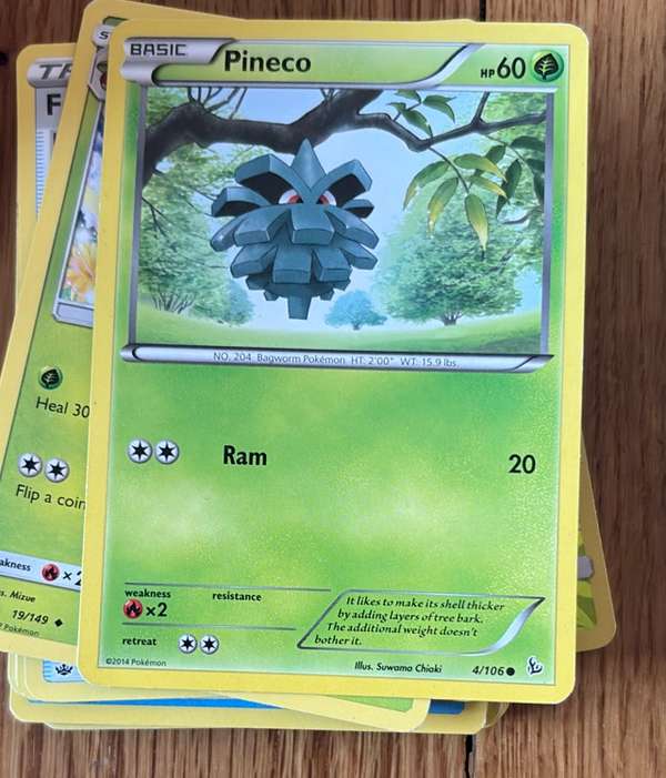 Pineco